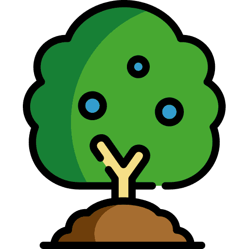 blueberry cartoon