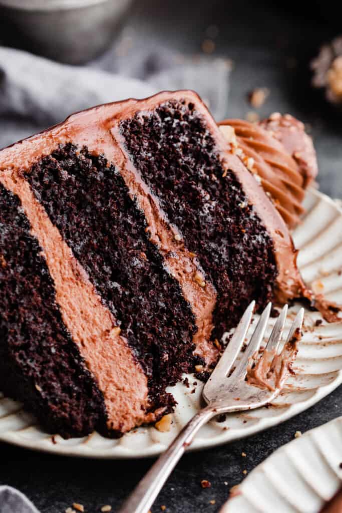A slice of chocolate cake, frosted with nutella frosting, on a dessert plate.