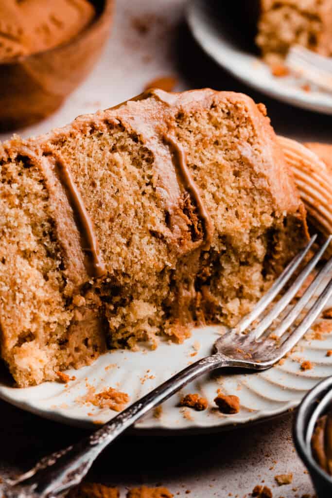 A close-up of a slice of the cake on a plate, with bites missing.