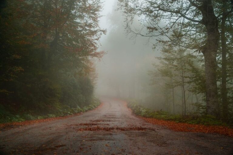 Fog drifts along a mountain road in the Blue Ridge, symbolizing Appalachian isolation.