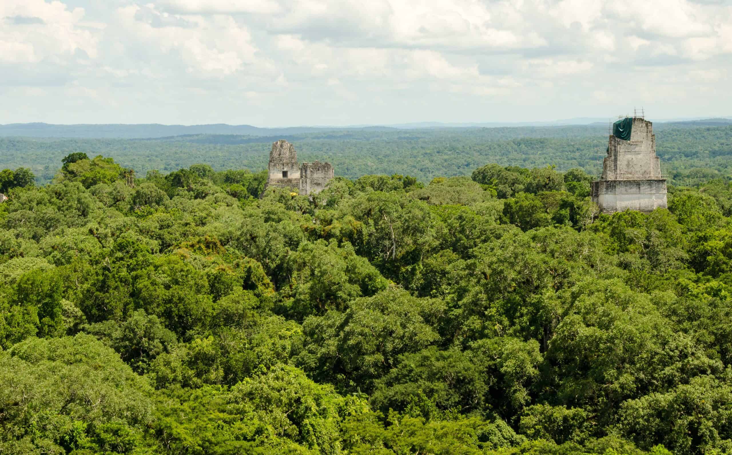 Travel Guatemala Tikal Jungle