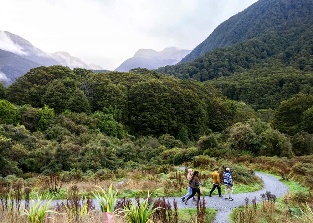 Nz Scenery5
