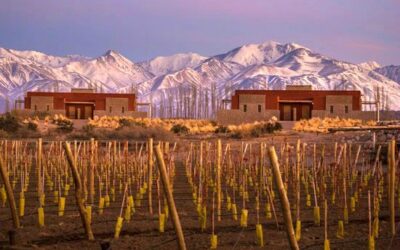 Insider’s Guide to Mendoza and Argentina’s Wine Capital