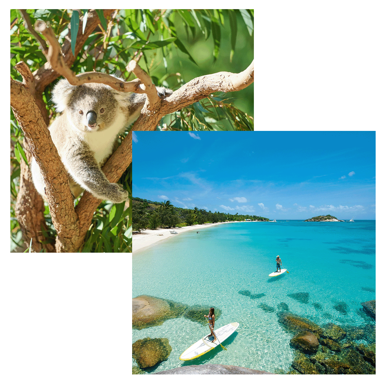 Australia Collage 1 (1) Australia Collage 1 (1)