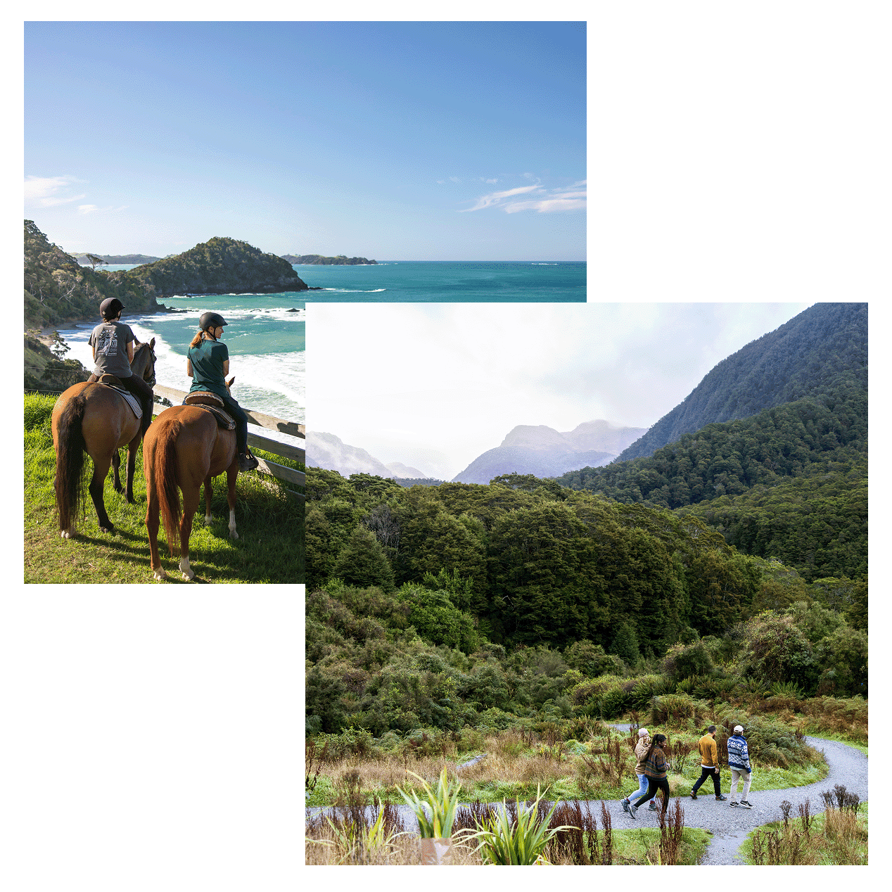 New Zealand Collage1
