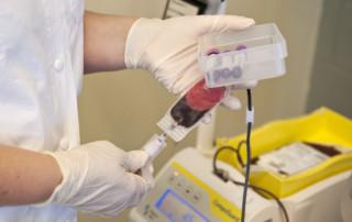 donazione avis bologna