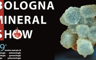 Bologna Mineral Show 2018 ridotta