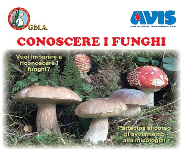 corso funghi avis bologna
