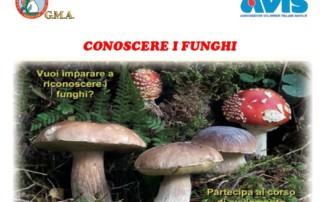 corso micologi avis bologna febbraio 2019