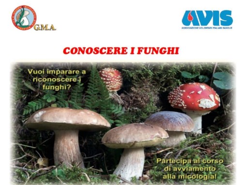 Corso 2019 “Conoscere i funghi”