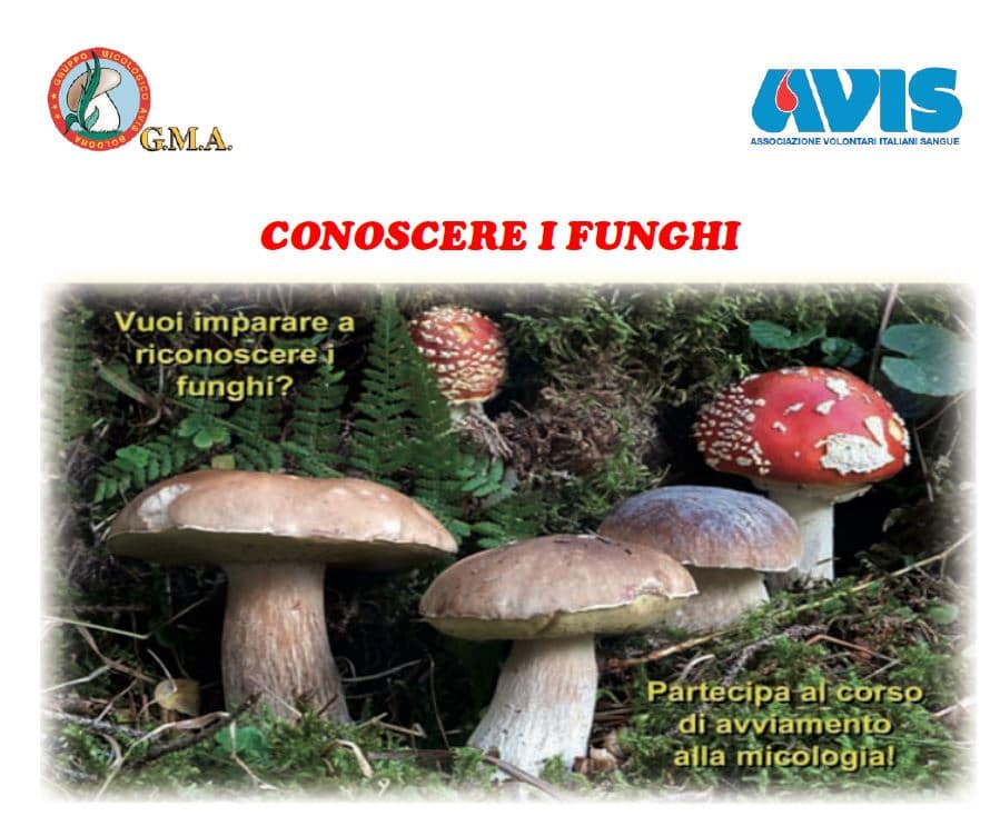 corso micologi avis bologna febbraio 2019