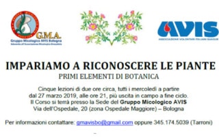 Impariamo a riconoscere le piante avis bologna 2019