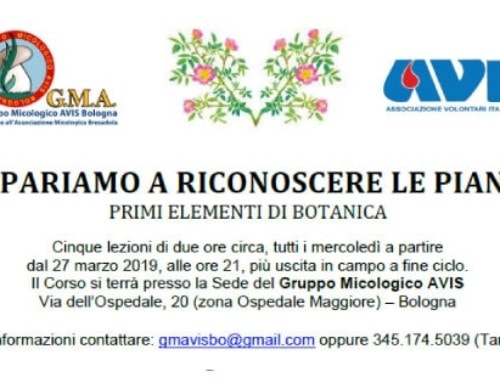 Corso “Impariamo a riconoscere le piante”