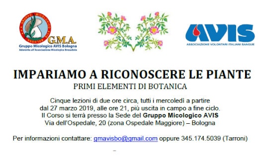 Impariamo a riconoscere le piante avis bologna 2019