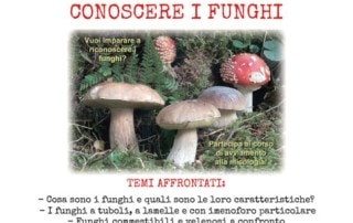 Corso micologi Settembre 2019