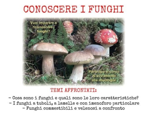 Corso 2019 “Conoscere i funghi”