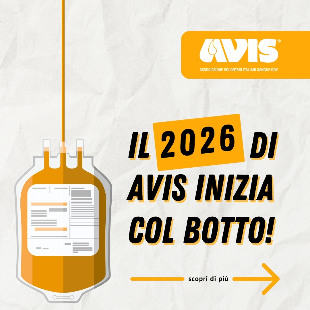 2026 botto imm evidenza sito