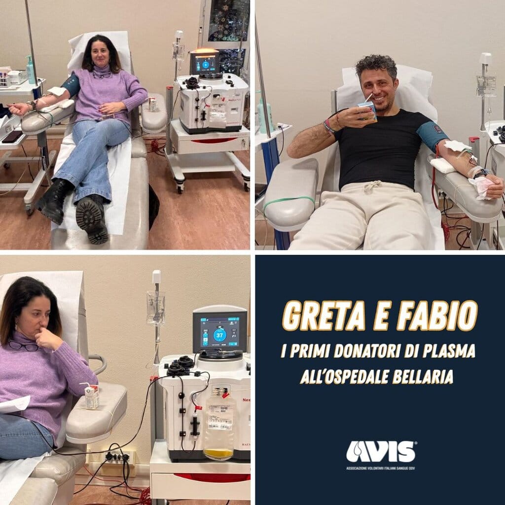 volti plasma bellaria avis