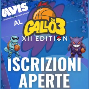 avis al gallo da 3 2026