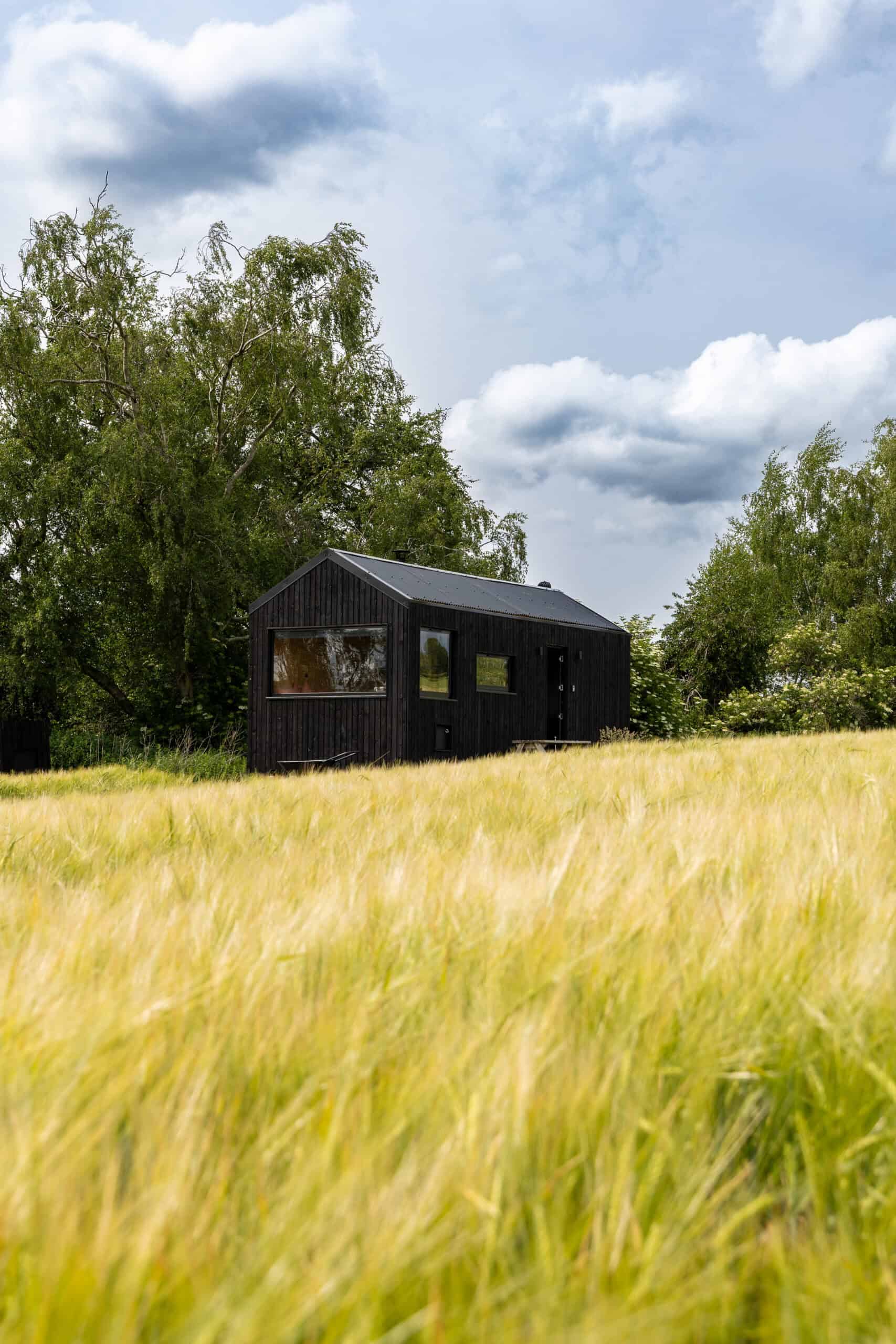 Secluded black off-grid tiny house in a grassy meadow with tall trees, ideal for sustainable living and off grid adventures in the UK countryside.