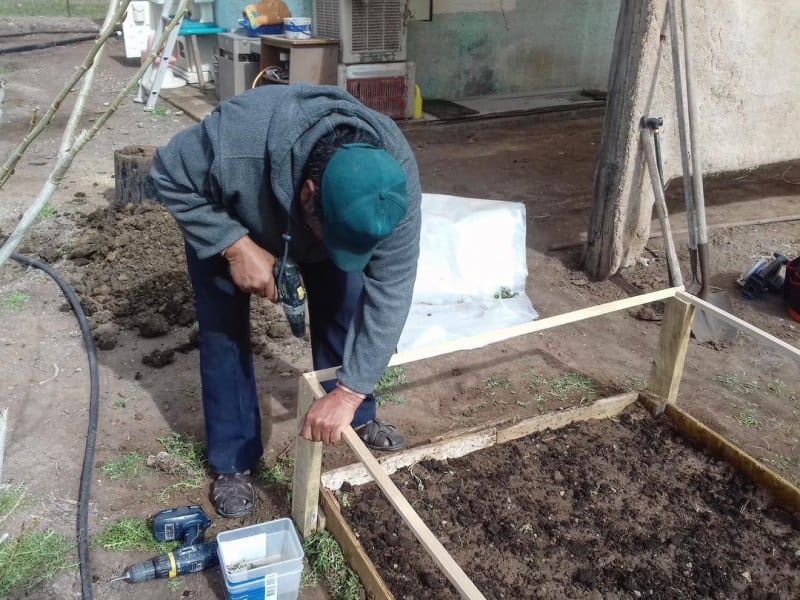 Greenhouse building.
