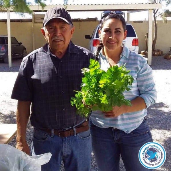 Community garden produce.