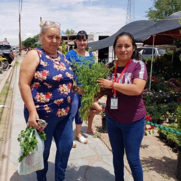 Community garden produce.
