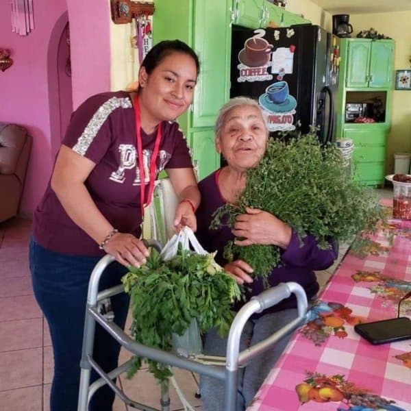 Community garden produce.