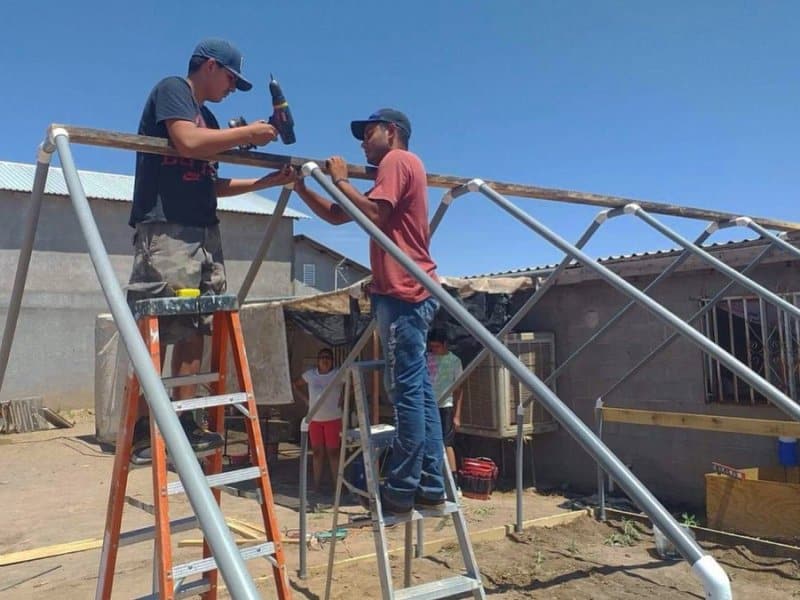 Greenhouse construction.
