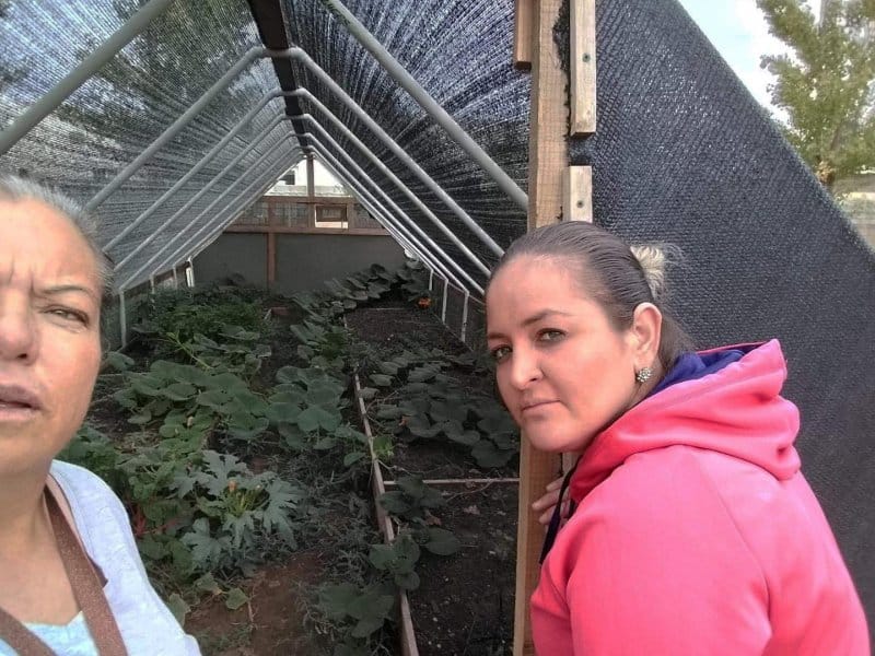 Community garden.