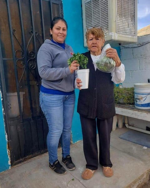 Senior Lunch Program delivery.