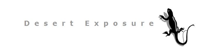 Desert Exposure masthead