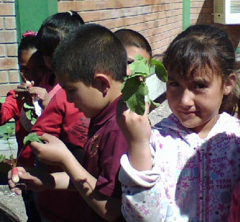 Ford students at garden