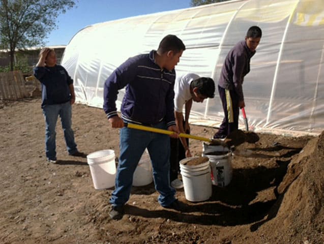 greenhouse construction