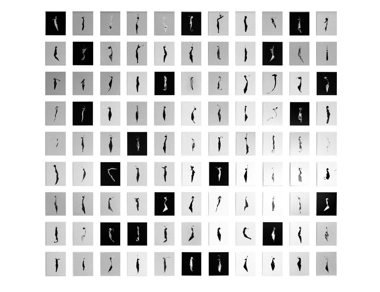 Tableau »99 ULOs für Berlin« in der Ausstellung »ULO family – Fotogramme von Floris M. Neusüss« im Studio 1 der bildo akademie 1993