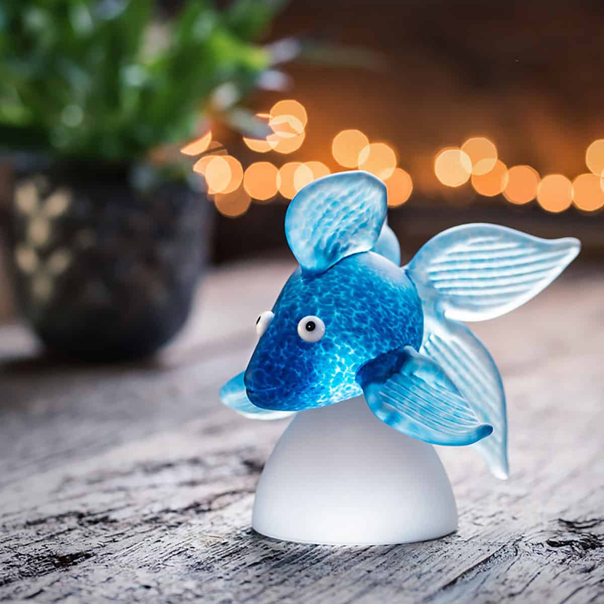 oranda_blue_goldfish_amb_01_800x800_SL