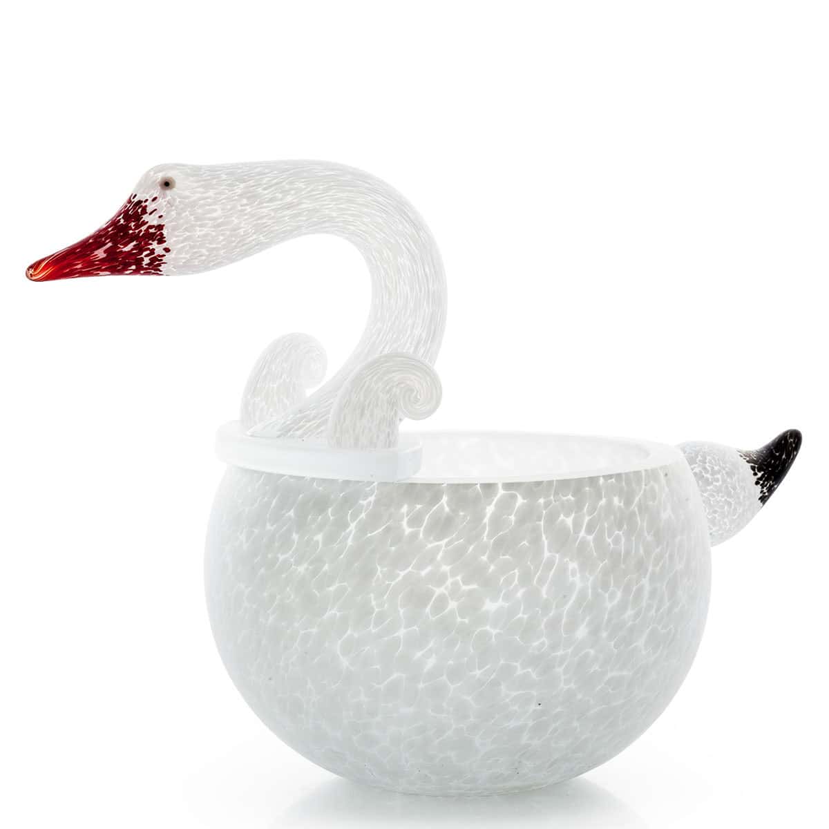 CYGNET | Schale