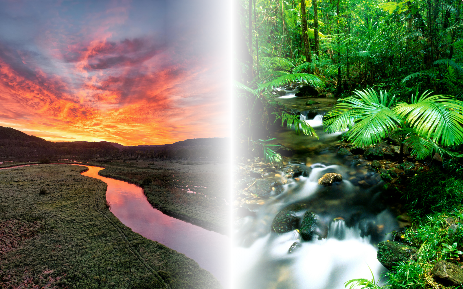 Beautiful vistas of rainforests and rivers