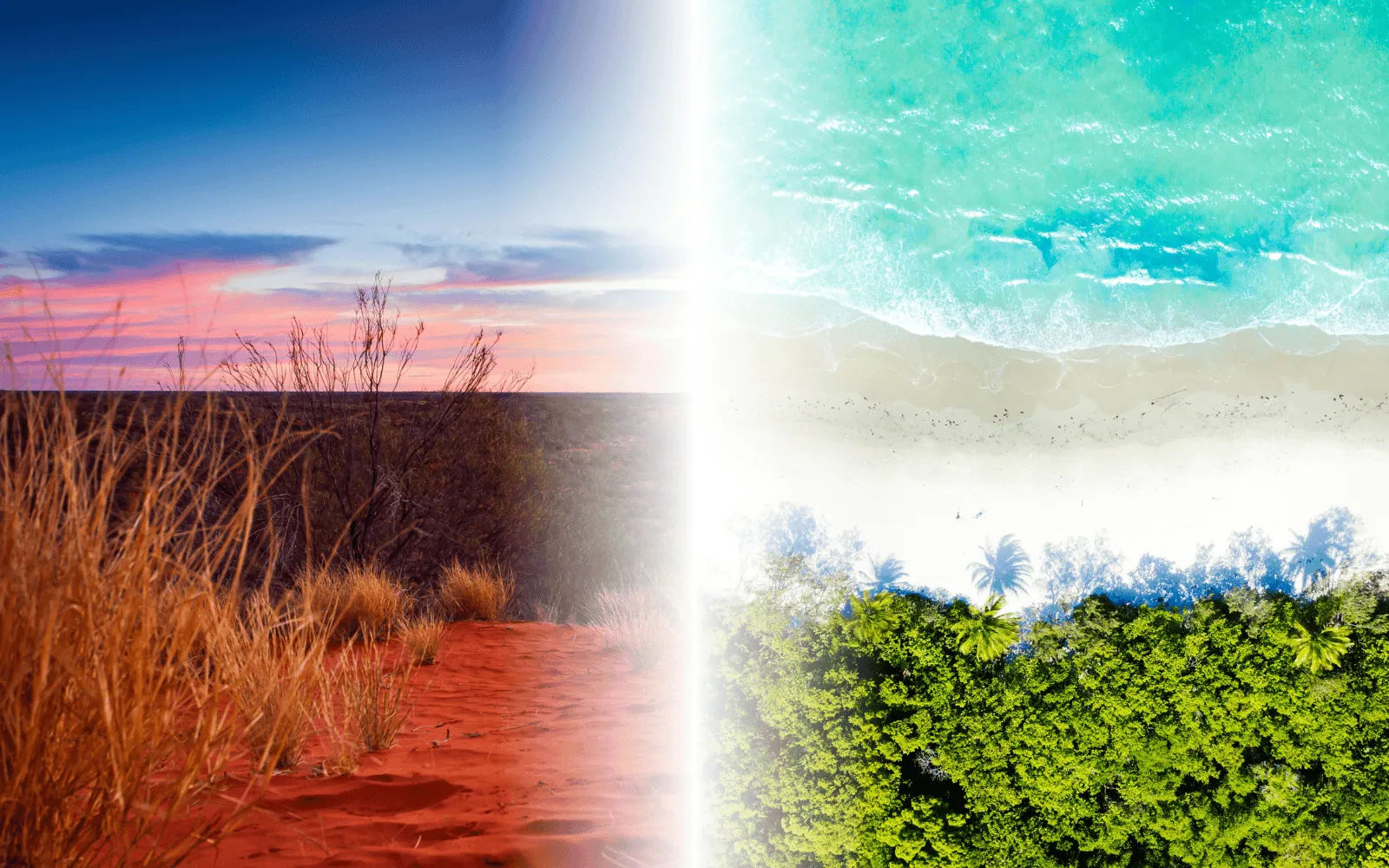Juxtaposed Australian desert and lush tropical forest