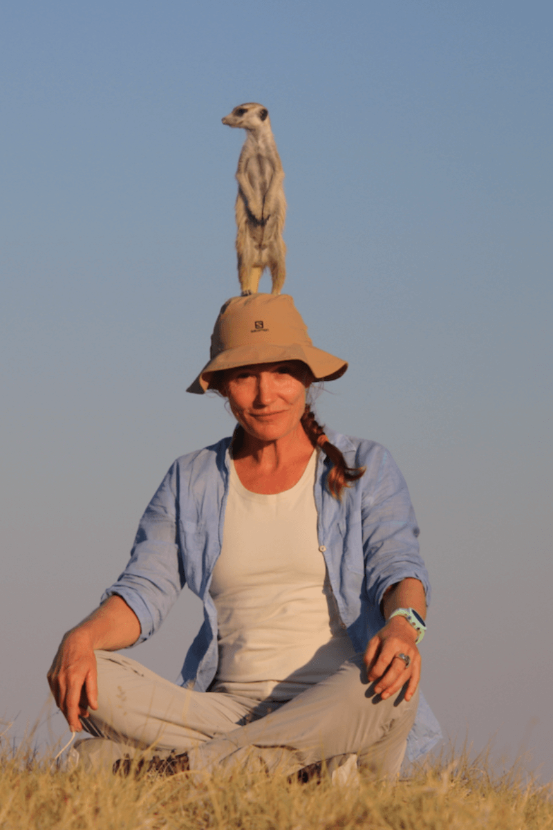 Meerkat on head in Makgadikgadi Pans