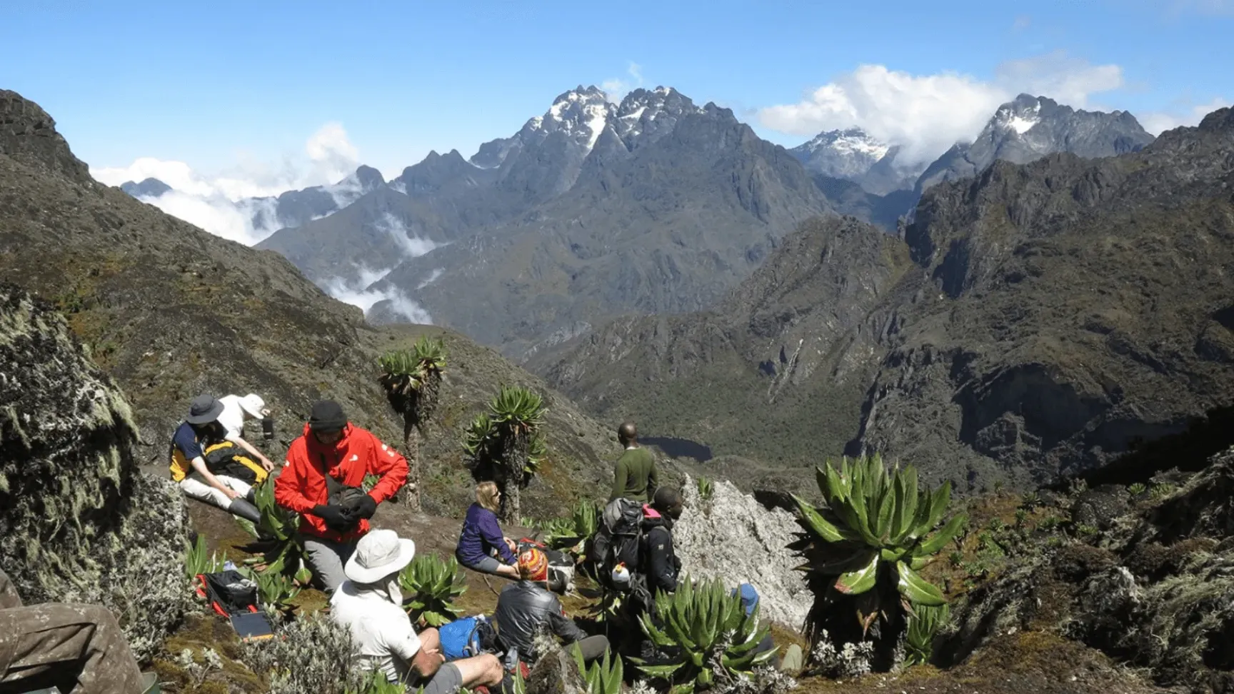 Uganda Rwenzoris