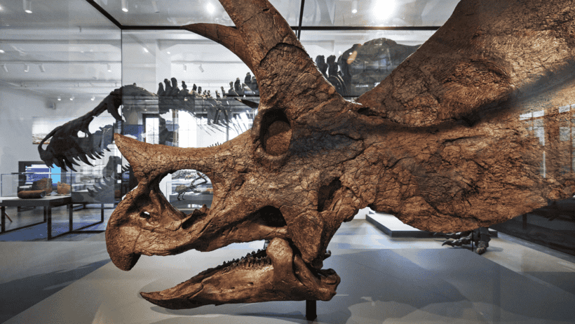 Dinosaurs and Designers, How Underrated Icons Can Transform Your Brand