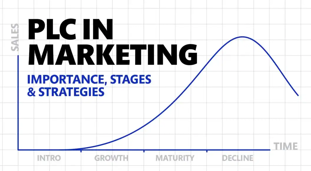 PLC in Marketing Uncovered, Why It Drives Revenue, Stage-by-Stage Growth Strategies