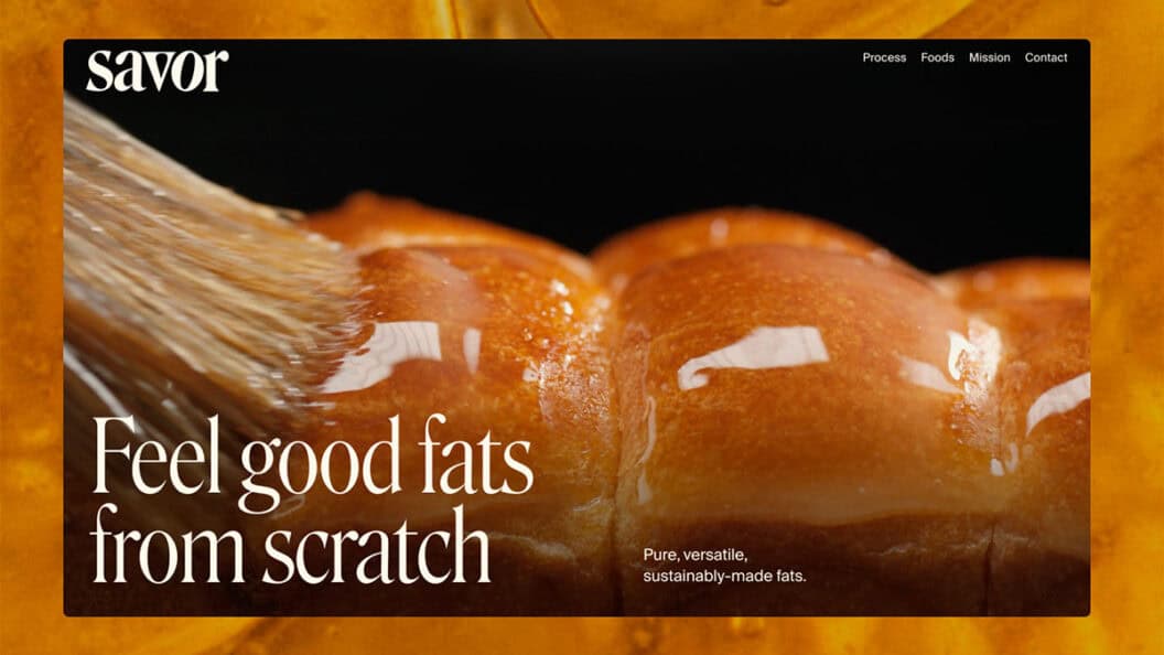 The Future of Fat, How New Science and Bold Innovation Will Transform Food and Health