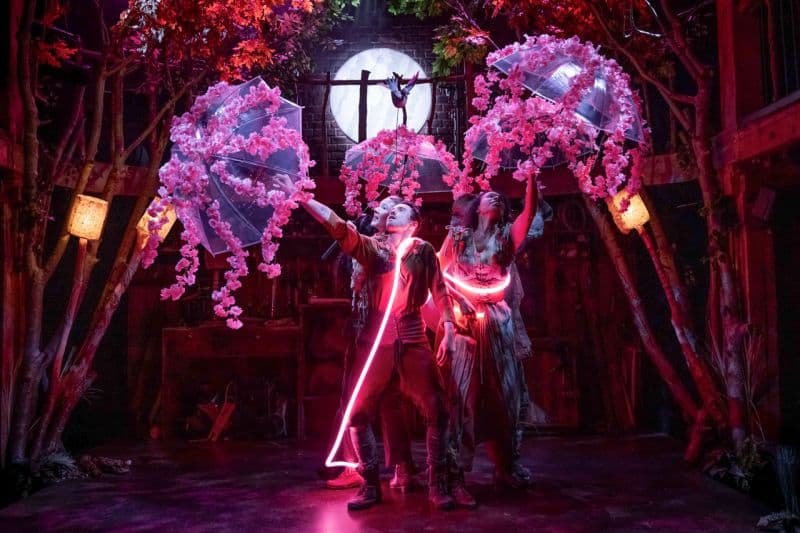 Yoav Segal crafts immersive stage worlds, the visionary muse for cross-disciplinary creators