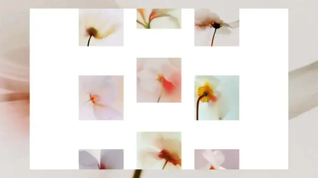 Build a Sticky, Scroll-Controlled Animated Grid for Immersive Web Scrolling