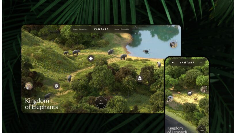 Clay's Vantara Web Design, Turning Conservation into Immersive Digital Experiences