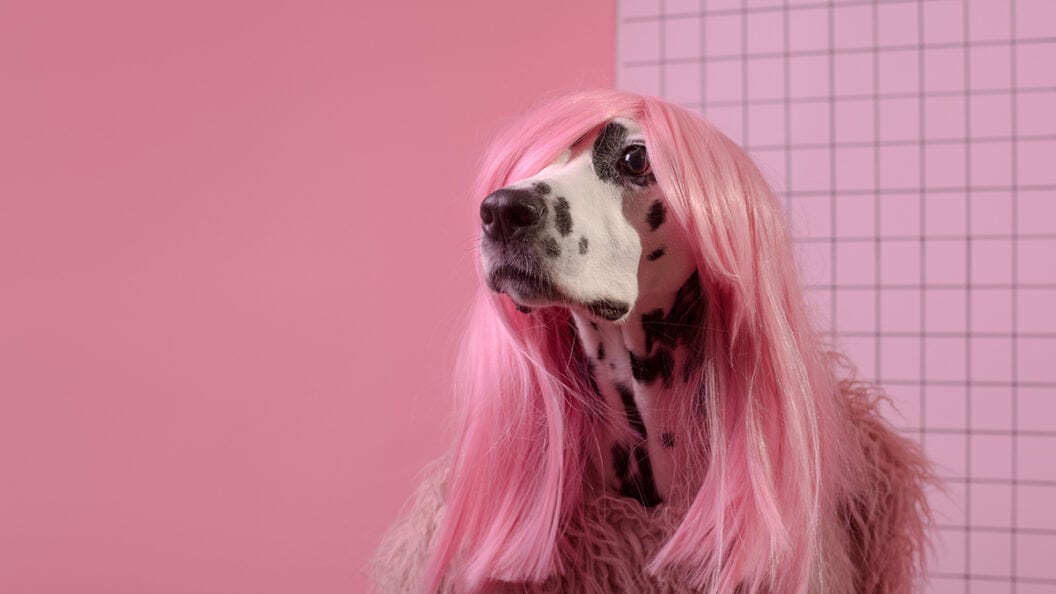 How Absurd Branding Wins Big, 5 Insider Lessons from Outrageous Campaigns That Hook Audiences