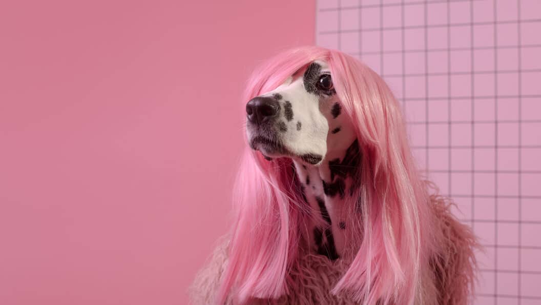 How Absurd Branding Wins Big, 5 Insider Lessons from Outrageous Campaigns That Hook Audiences