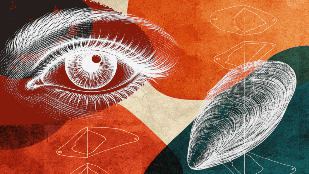 The Color Metric Flawed for 80 Years, The Surprising Impact on Design and Science